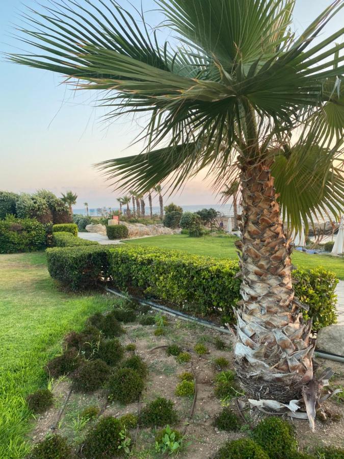 Royal Seacrest F G5 Ground Floor Apartment Pafos Exterior foto